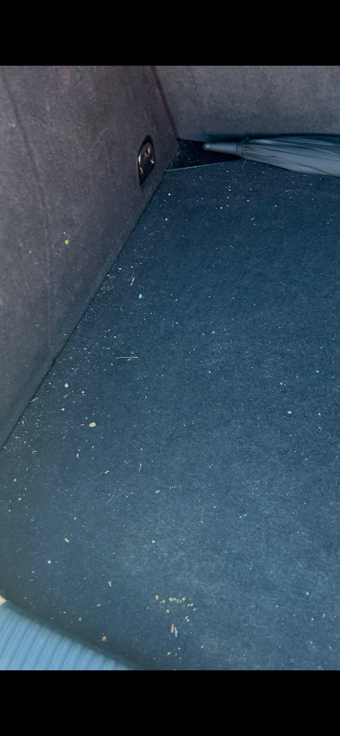 Kofferraum reinigen Vorher Hundehaare - Autopflege